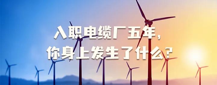 入職電纜廠五年，你身上發(fā)生了哪些變化~
